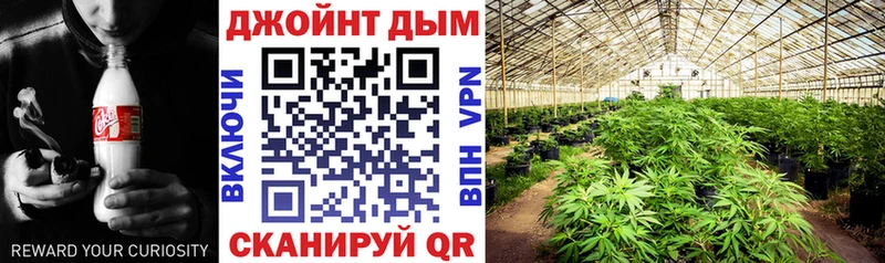 Конопля SATIVA & INDICA  MEGA ссылки  Тихорецк 